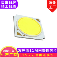 �l����11MM 13*13MM COB��Դ ����оƬ LED���� LED��Դ �S��ֱ�N