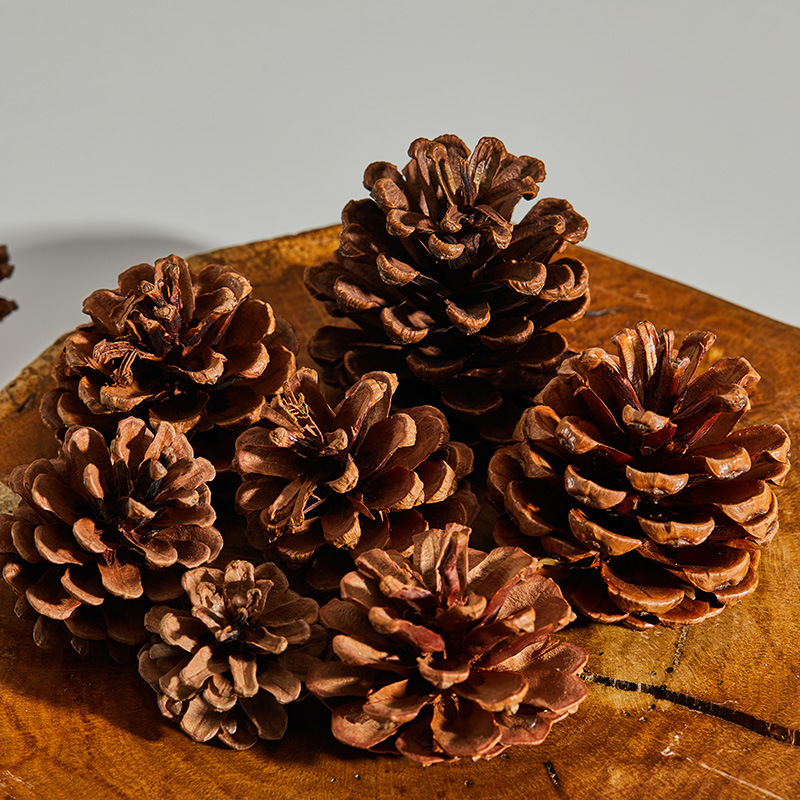 Navidad natural gran pinos dorados crema blanca accesorios de decoración de Navidad árbol de Navidad decoración colgante colgante