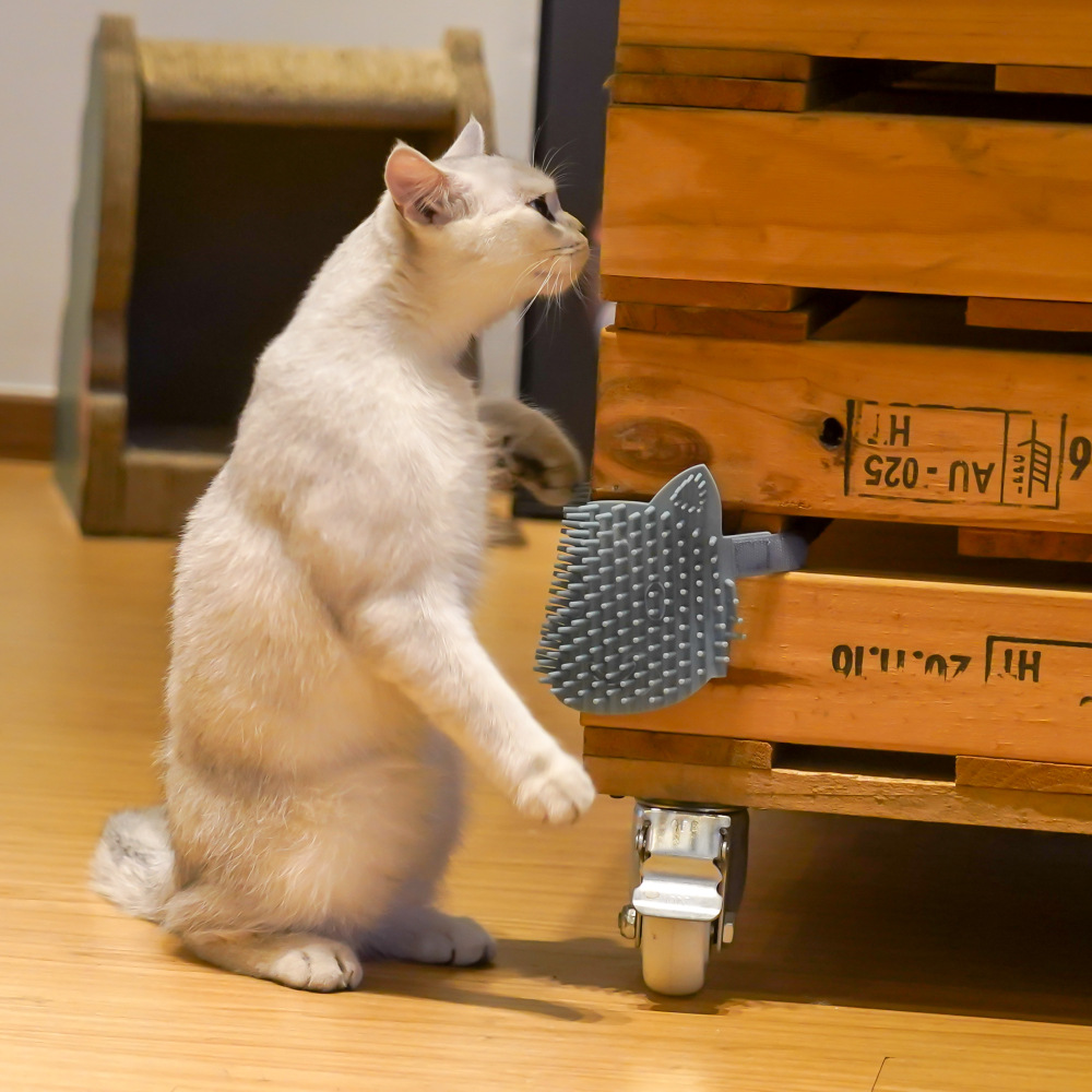 猫咪硅胶蹭痒板 (15).jpg