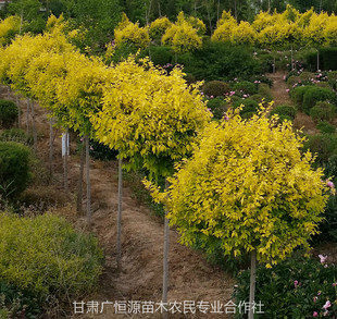 �������~�� 1.7�׸߽ӽ��~�ܘ�