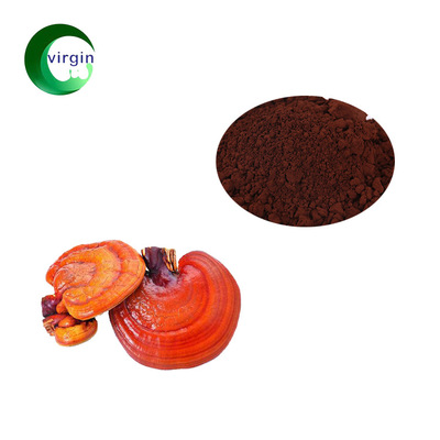 direct deal Ganoderma spore powder extractive 99% Broken Ganoderma lucidum spore powder goods in stock