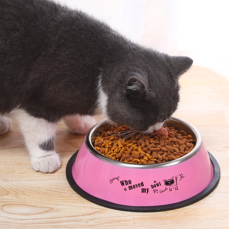 五彩印花不锈钢喷宠物食盆2