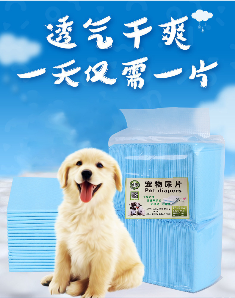 厂家货源宠物尿垫加厚竹炭除臭一次性宠物尿垫吸水一次性狗狗尿垫