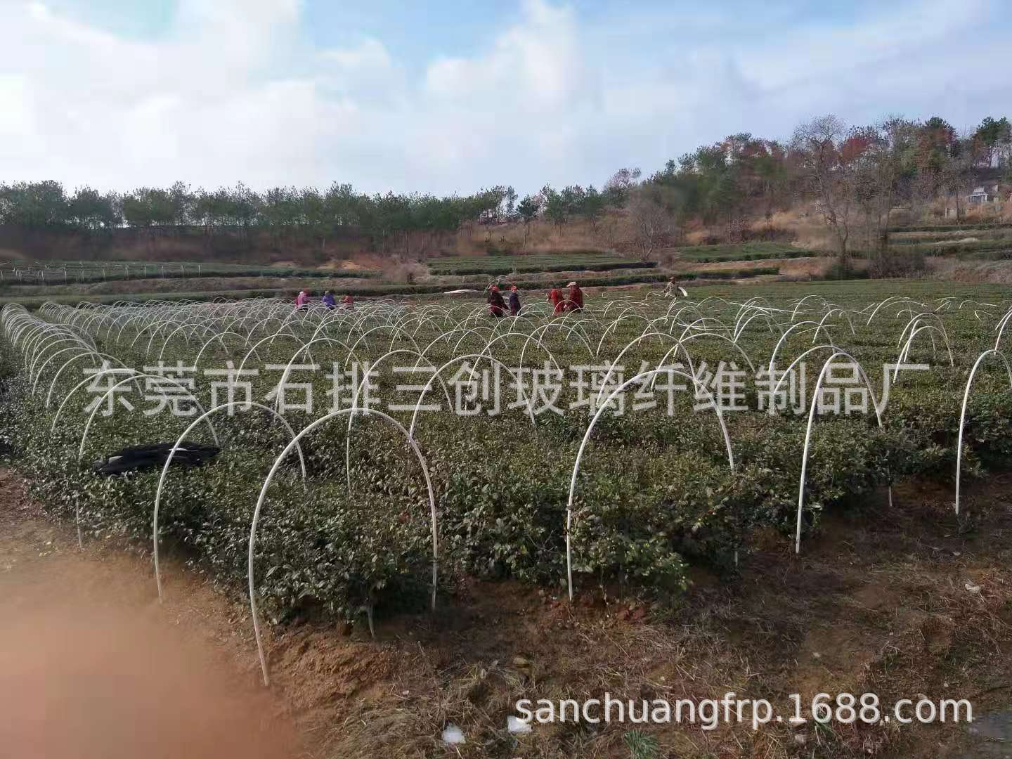 厂家专业生产直销高强度耐腐蚀 玻璃纤维拱棚支架 保温棚二拱棚杆