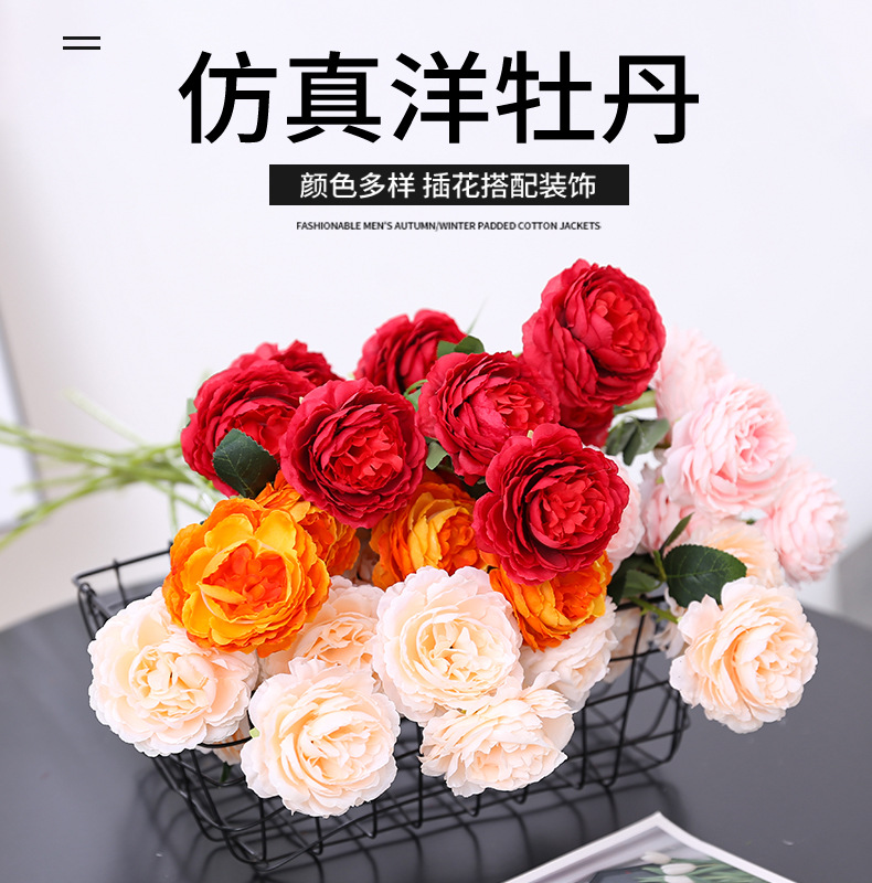 洋牡丹_01.jpg