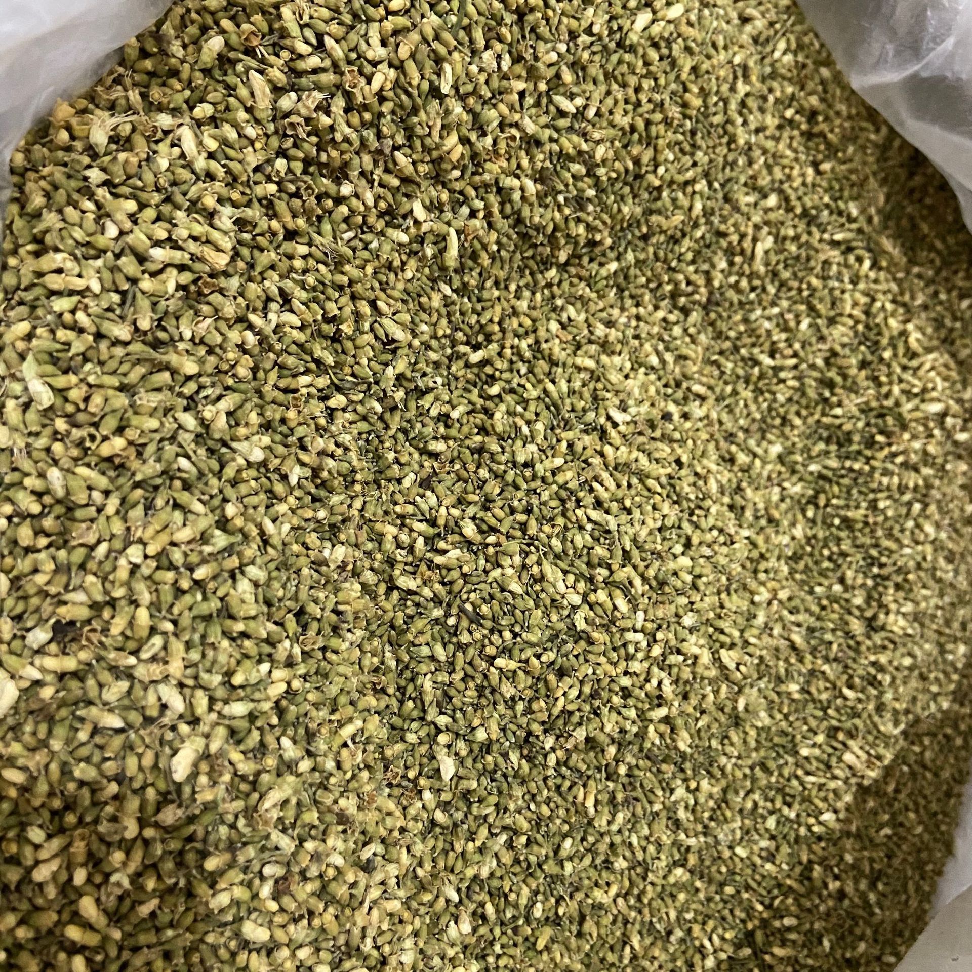 Huai Mi Sophora Bud Dried Huaihua Flower Buds Natural Sun Dried Herbal Tea Ingredient 500g specifications