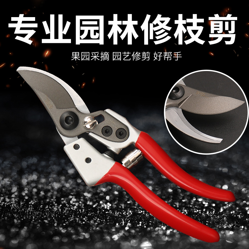 水边园林果枝剪刀台湾品质果树枝剪日本钢SK5粗枝剪园艺省力花剪