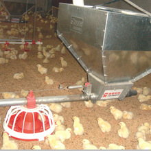 肉鸡料线盘式线鸡用喂料系统商品鸡料线料盘自动供料设备厂家直供