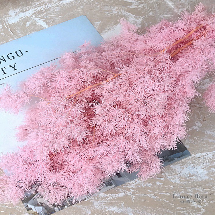 永生花干花蓬莱松diy配材礼盒辅材点缀彩色针叶整束批发