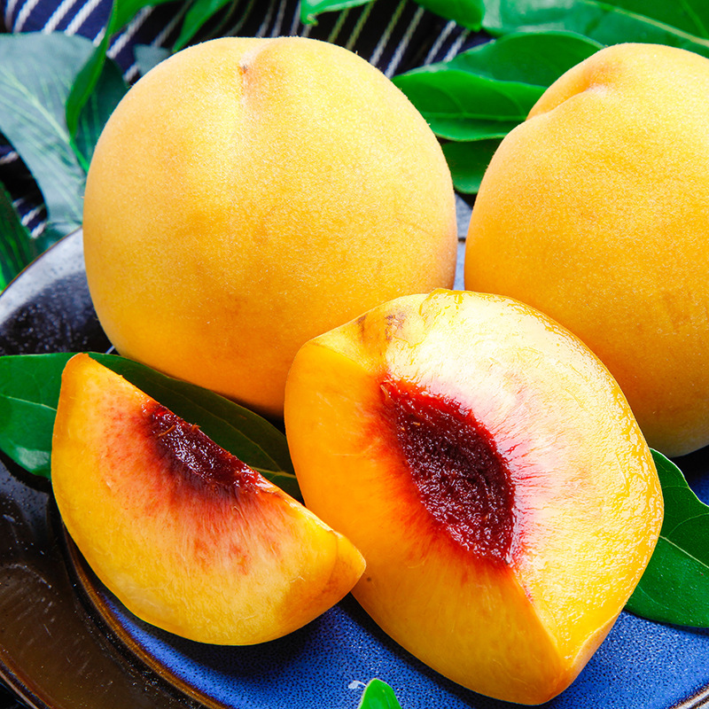 山东黄金蜜桃露天黄桃水蜜桃新鲜采摘5斤水果非油桃产地直发代发