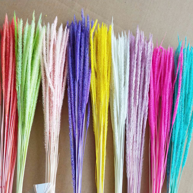 【麒麟草】云南干花特价批发 迷你小花束 家居配饰 产地直销