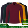 Long-sleeved velvet polo customized pure cotton thickening Lapel coverall T-shirt Embroidery logo Party dress manufacturer