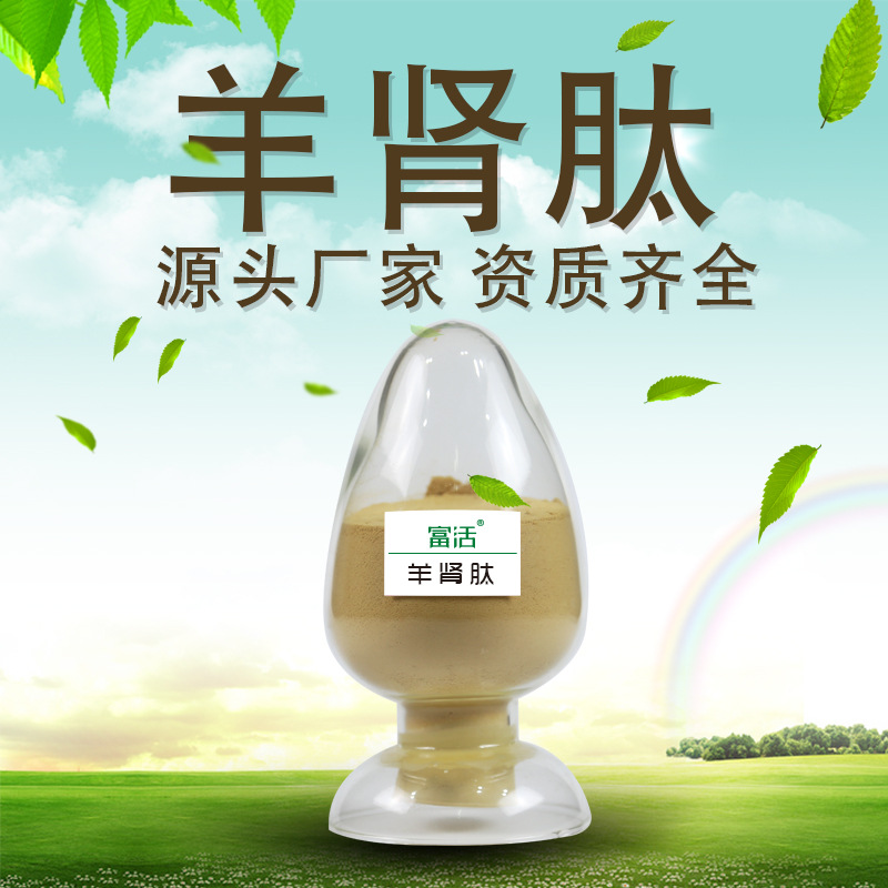 食品级添加剂 羊肾肽粉小分子活性肽原料厂家 供应现货 资质齐全|ms