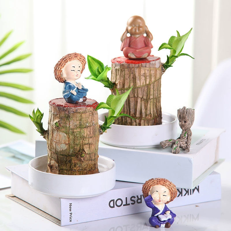 Оптовая бразильское деревянное гидропонное Горшечное растение в помещении в горшке водный офисный Настольный Зеленый завод Groot хорошее разведение