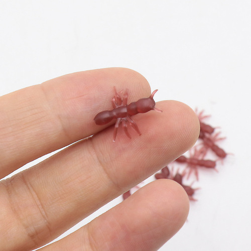 Halloween toy simulation black ant model new and strange little ant props holiday trick toys