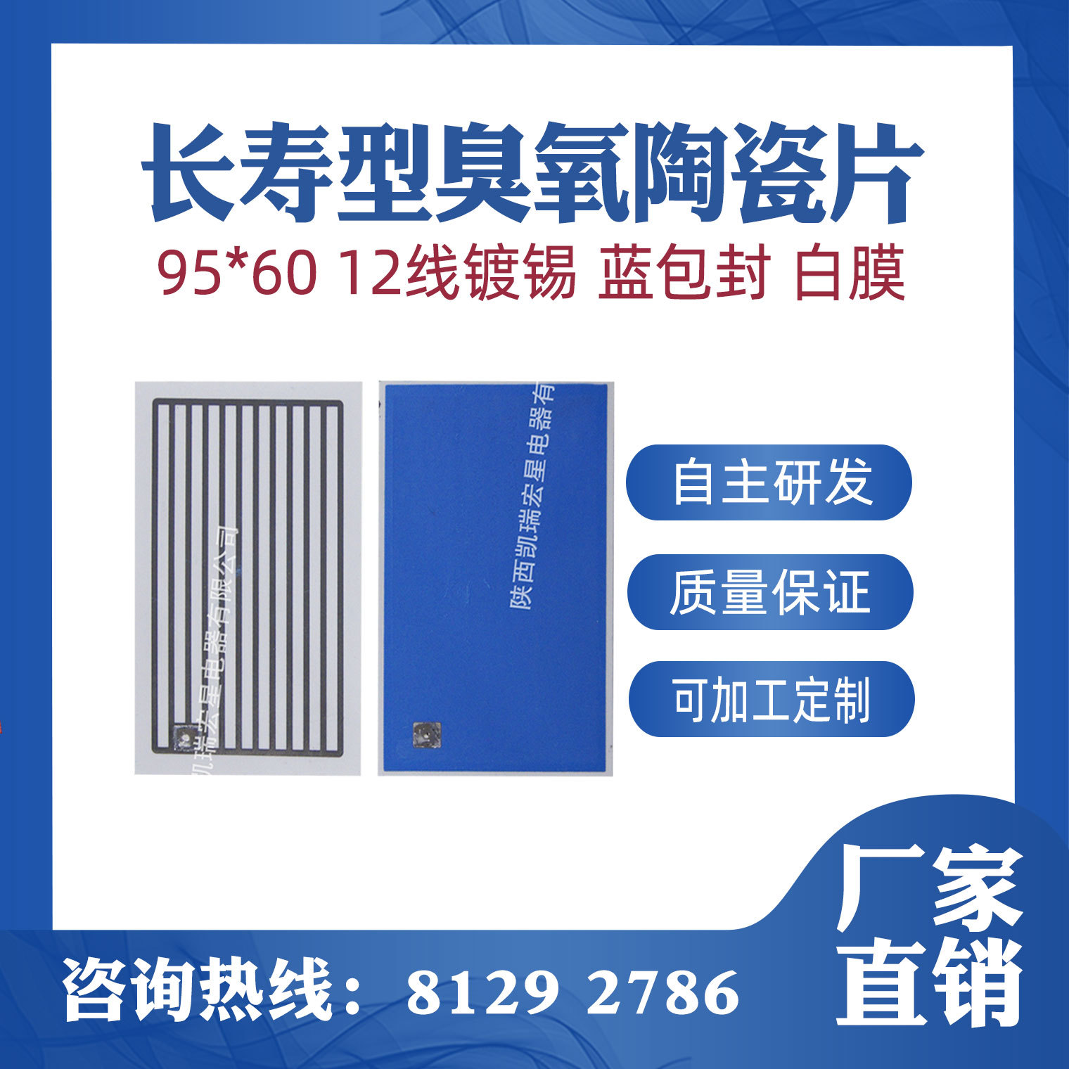 7g臭氧陶瓷片长寿命95*60mm 12线镀锡蓝膜 臭氧机配件 厂家可开票