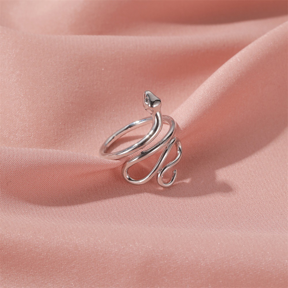 New Copper Ring Retro Snake-shaped Winding Ring Men And Women Snake Ring Wholesale Nihaojewelry display picture 5