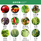 Байер, Германия, принимает вражеский стабилизатор 肟 Эстер Пентаолльхол, рисовый паттерн, рисовый пластиковый розовый пестицидов пестицидов стерилизатор 100G