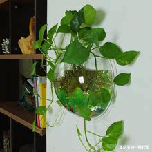 壁掛花瓶水培創意掛壁魚缸花瓶飾品吊蘭綠蘿垂吊吊籃特大牆上花盆