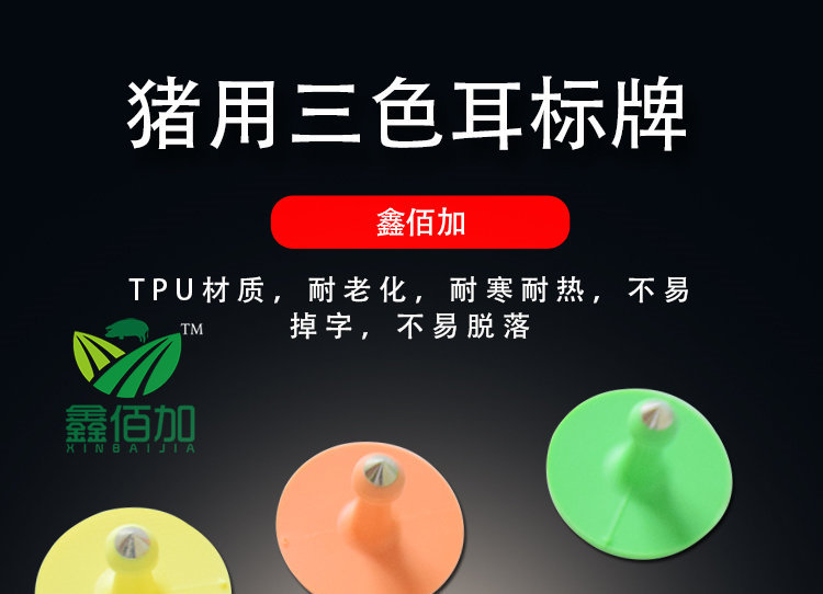 猪耳标CA详情页 (1).jpg