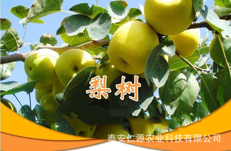 b92bf8affe236074a041809cf8d1e9