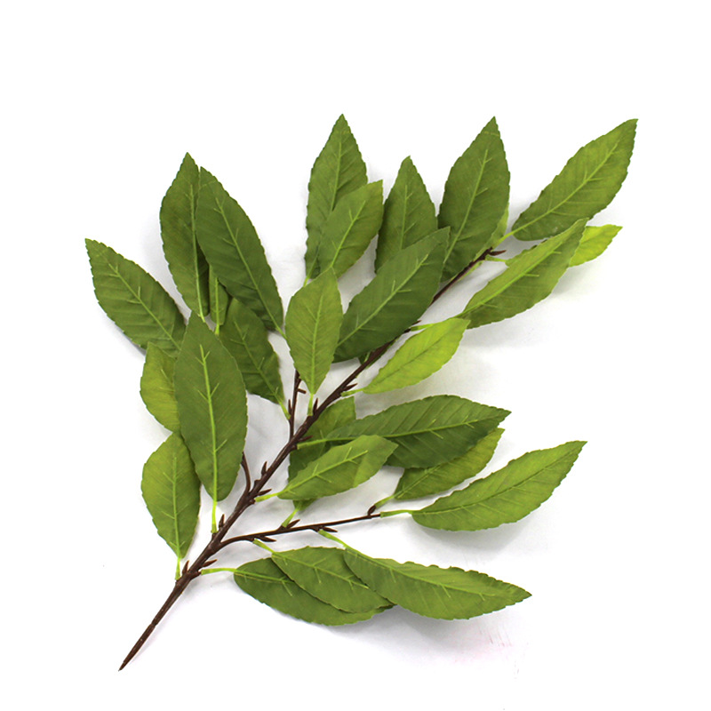 XRB-119 青杠叶四叉枝秋色  (4).jpg