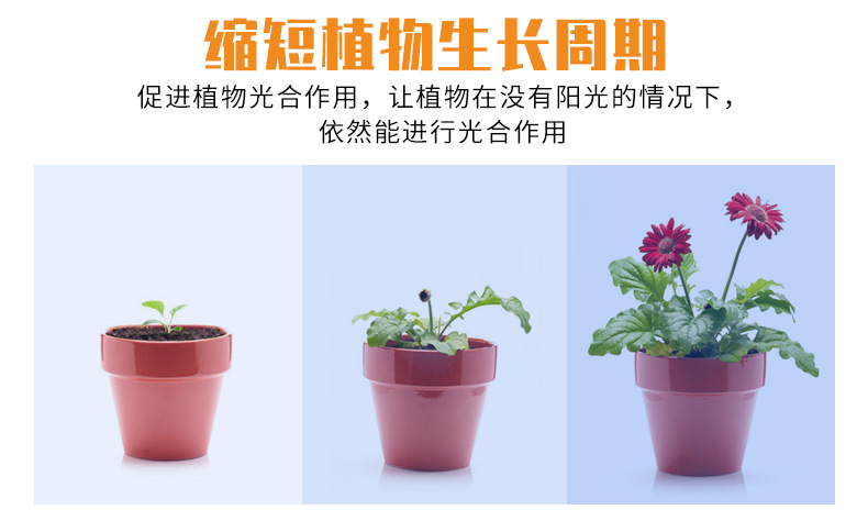USB-冰蓝-植物灯带--_04.jpg