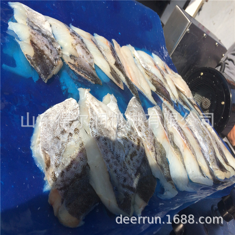 现货试机 多功能鱼排/鱼块裹糠机 沙丁鱼/多春鱼裹浆裹糠生产线