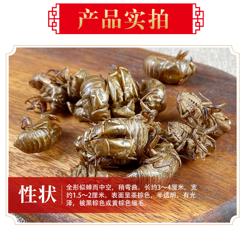 Cicada Slough Chan Tui 蝉蜕 Dried Whole Insect Molt Traditional Chinese Herb 500g Washed quality and texture