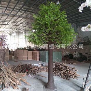 ���Ϸ����S�� ���͈@��ˮ�Ϙ��@����䶨 �Ƹ�����ˮɼ���ɘ�