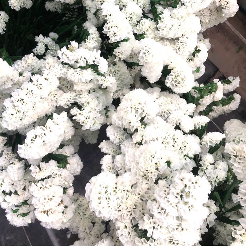 微信图片_20200221143130_副本