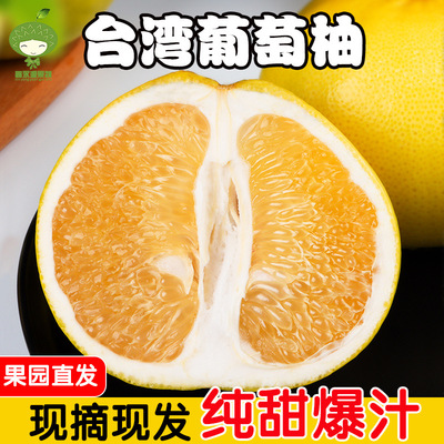 台灣黃金葡萄柚新鮮水果西柚孕婦水果應季水果批發代