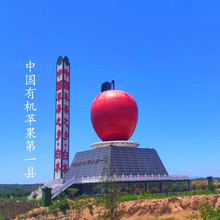 新品熱賣 陝西洛川紅富士蘋果脆甜 大果禮盒包裝現發批發新鮮水果