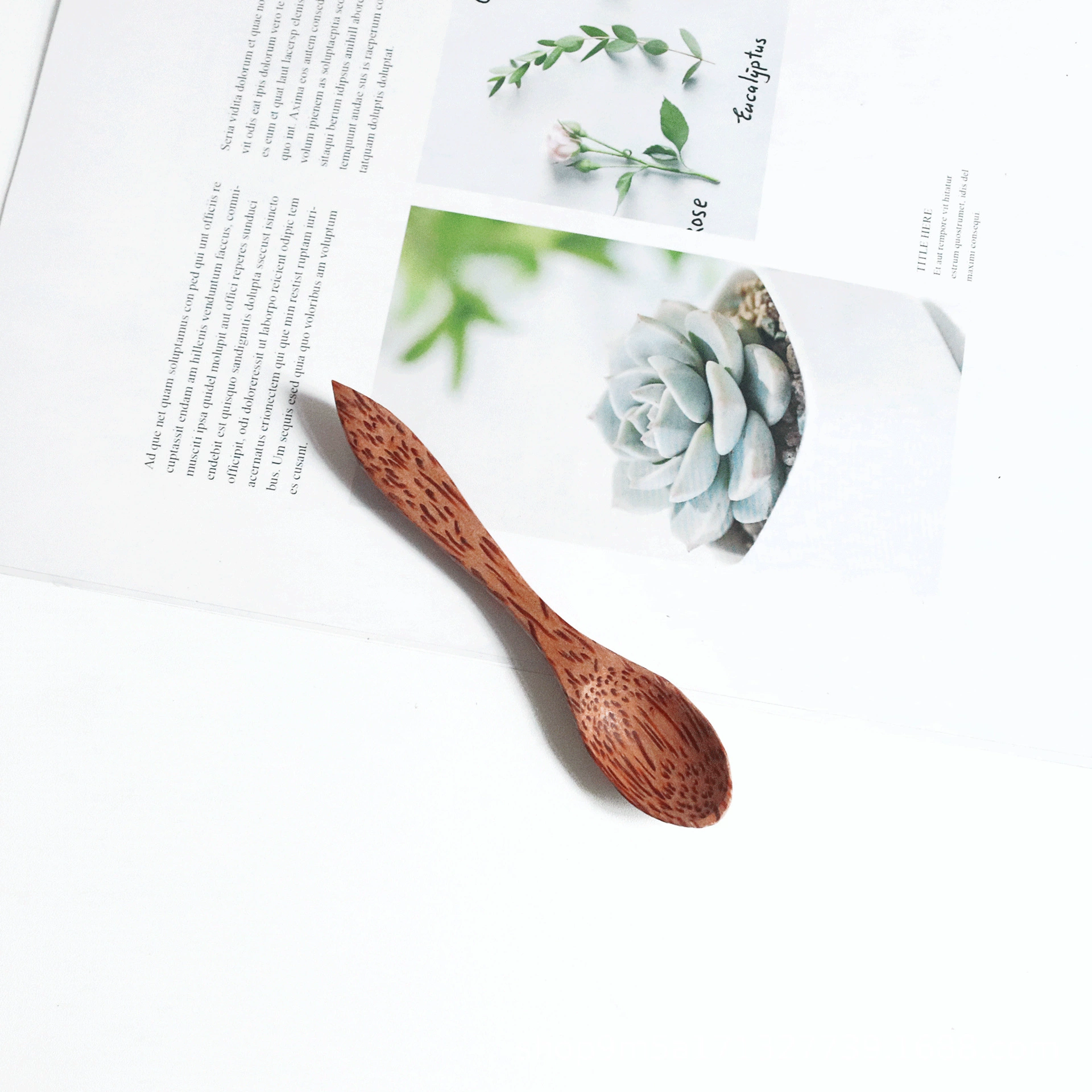 Natural coconut shell creative dessert salad bowl tableware storage old coconut shell disc dry fruit plate handmade coconut bowl