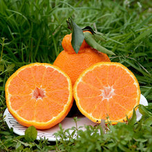 ���Ĵ���֪����١���˹ֳ�̳�����r����ˮ�������Fժ������l