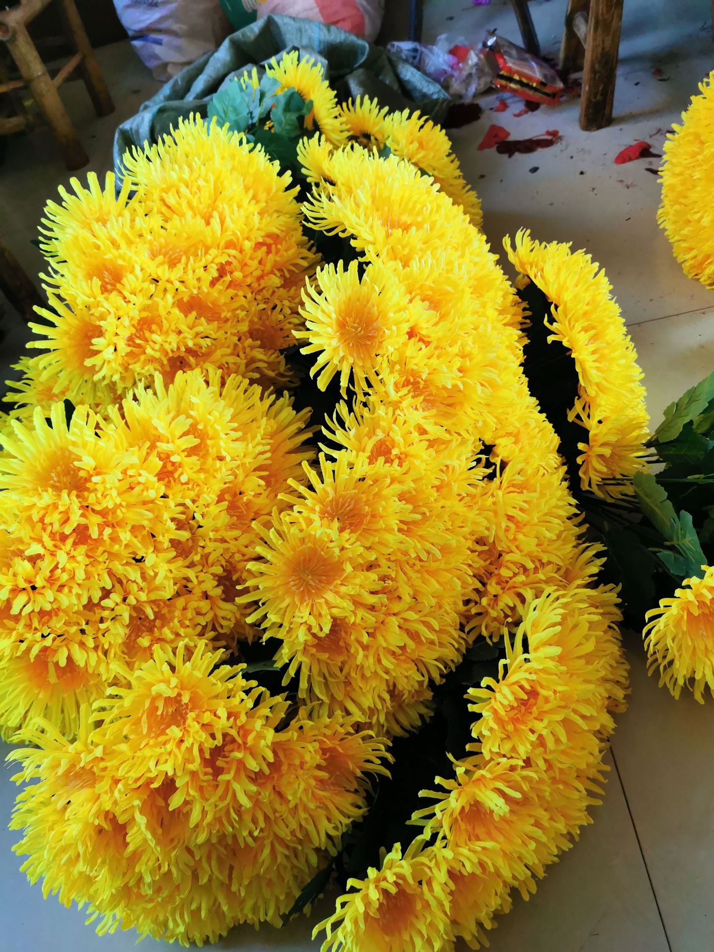 Single chrysanthemum