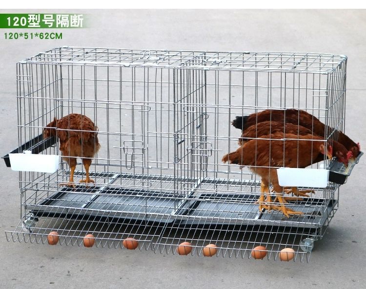 折叠蛋鸡笼_养殖笼铁丝笼养鸡笼子家用自动滚蛋鸡笼 - 阿里巴巴