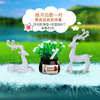 Transport, jewelry, creative protective amulet, cute high-end decorations, internet celebrity