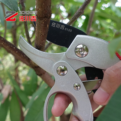 台灣佐川吉3130修枝剪分段式盆景剪刀果樹剪省力70%園藝園林工具