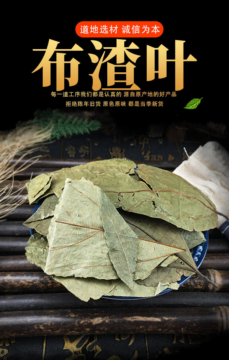 Bu Zha Ye Dried Microcos Leaf Clean New Harvest Bulk Wholesale Supply key features