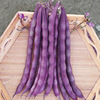 Big purple robe Purple kidney bean seeds Spring and autumn purple -red bean purple -red four seasons of bean seed seeds become autumn purple bean seeds