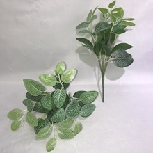 7G}׾W׃ɫľˮü~ֲGֲ滨ٻ