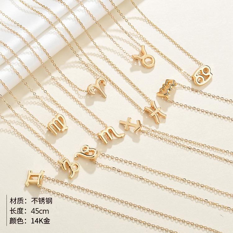 Fashion 12 Constellation Pendant Titanium Steel Necklace display picture 15