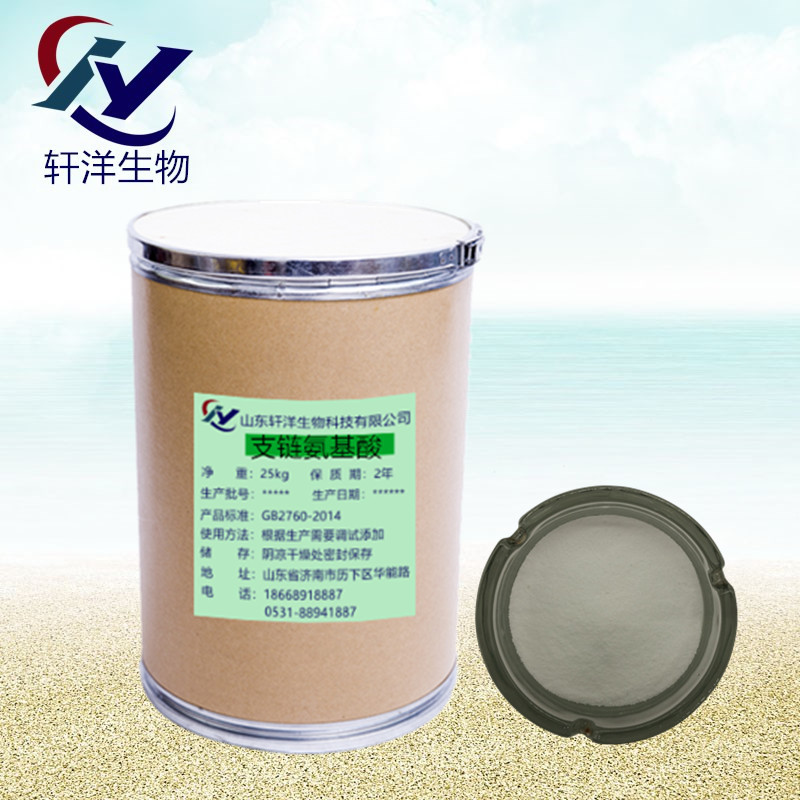 供应支链氨基酸 食品级支链氨基酸 BCAA 99.9％ 量大优惠