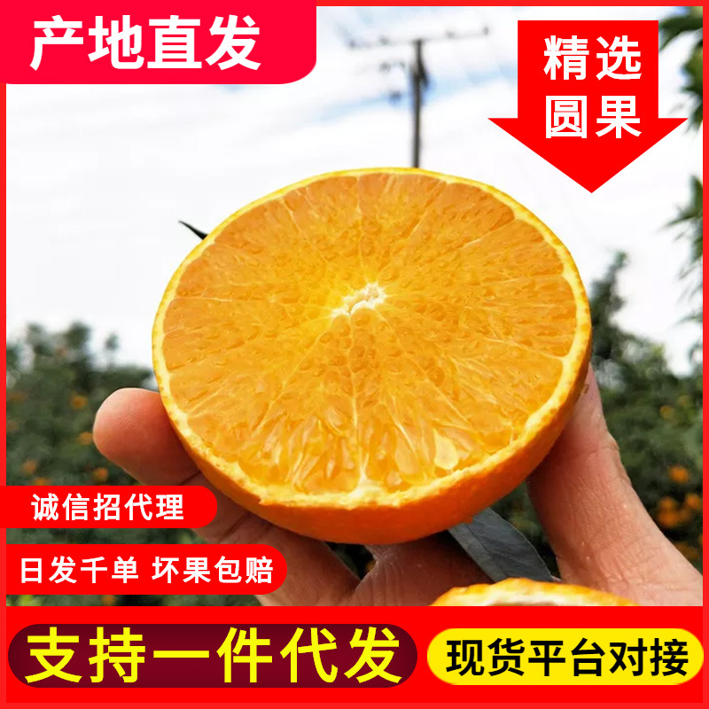 包邮甜脐橙果冻橙 5/8斤新鲜当季水果非赣南脐橙橙子批发代发