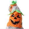 Ji Zai Pet Products Factory Dog Hat wholesale Pumpkin Set Pumpkin Festival Halloween cat jewelry clothing