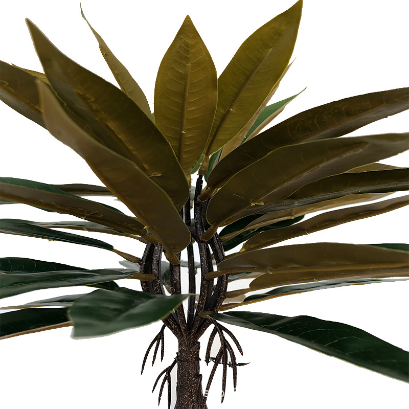 XRS-011 盆栽栲树叶 (4).jpg