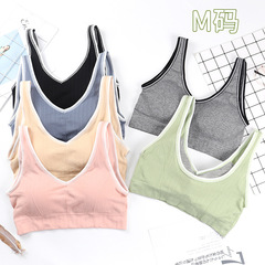 M碼 微商熱銷韓國塑形背心2.0無縫裹胸吸汗透氣內穿打底抹胸內衣