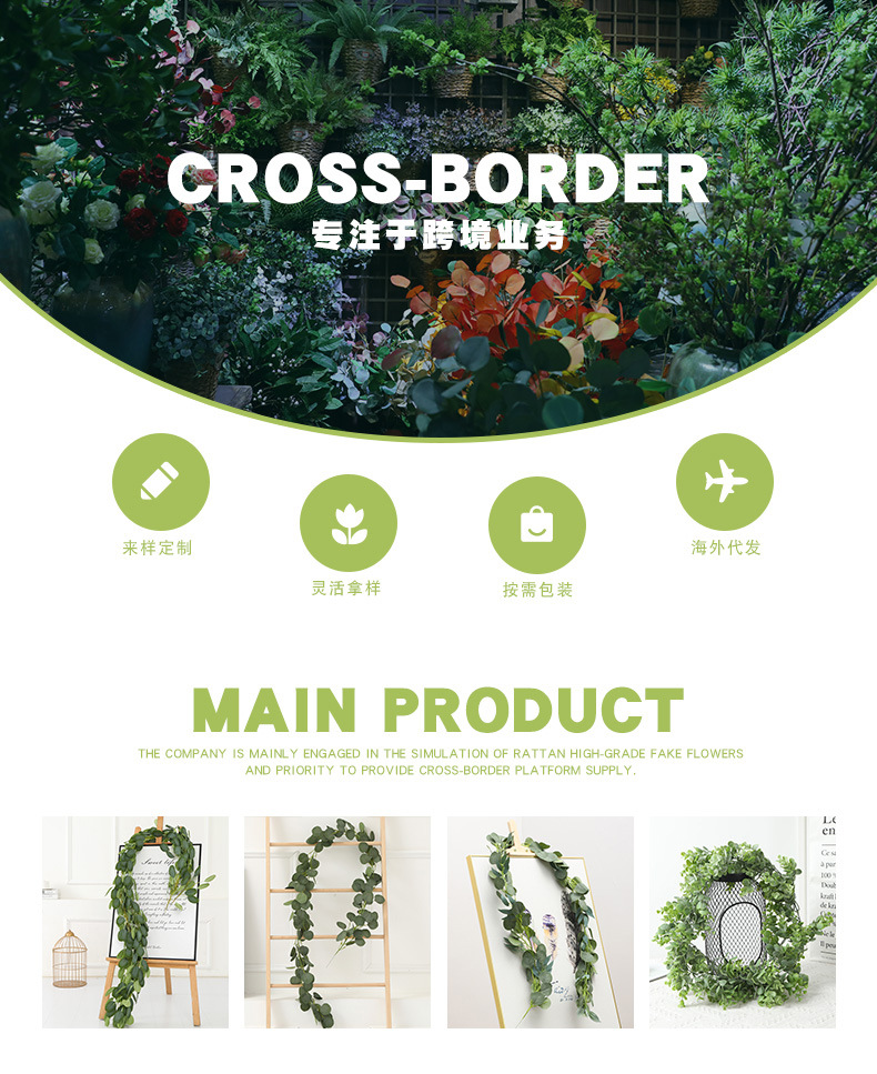 常春藤大链接详情-兰韵_01