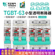 ����TGBT͸���՚��_�PС�͔�·��16A32a63A������1P2P3P���ù���